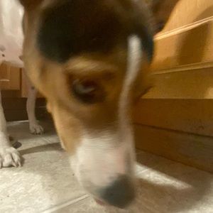 Meet your Posher, Spencer